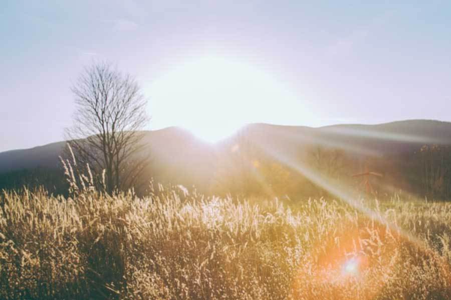 反击, 伤痕铸就王
